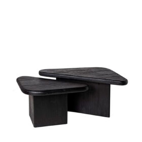Mesa centro RISHI